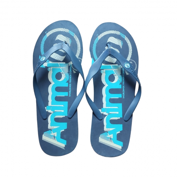 Animal Costa flip flops 41