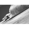 Deska snowboardowa męska Jones 2026 Stratos Black