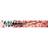 Gogle snowboardowe BOB Brain Washer HCS+TM