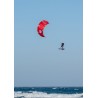 Latawiec kitesurfingowy Cabrinha 2026 Nitro Apex only C5