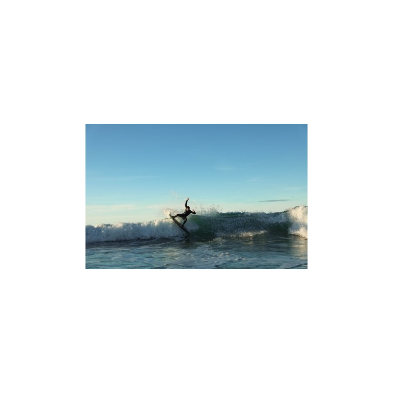 Deska surfingowa UP Vampire Performance Grey/Red